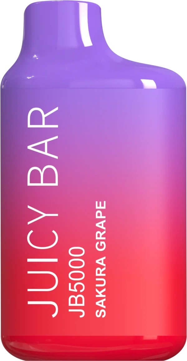 Juicy Bar JB5000 5% - Image 17